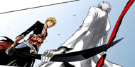 Zangetsu grabs the blade of Ichigo's sword.