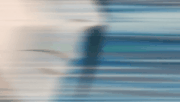 6FEE76F6-159F-4983-88E3-2ECFA42E82E0.gif