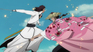 Shunsui battles Starrk