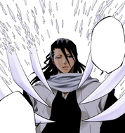 Byakuya asks Renji if he still insists on saving Rukia.