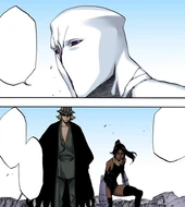 Aizen outlines how it is his duty to crush the hopes and strategies of Urahara, Yoruichi, and Isshin.