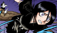 Rukia flees from Metastacia and Ukitake at the latter's command.