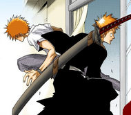 Kon bypasses Ichigo.