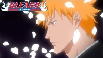 Sakura Biyori Bleach Wiki Fandom