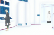 Akon informs Urahara that Yoruichi Shihōin has completed her mission.