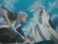 Gin Vs Toshiro