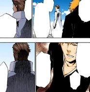 Ichigo inquires about what made Aizen believe he was an ideal research subject.