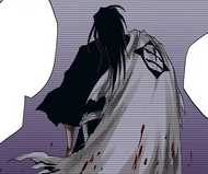 Kenpachi becomes the captain of the Eleventh Division.