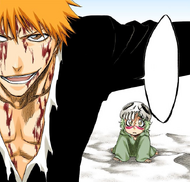 Ichigo assures Nel that he believes she was not lying to him.