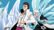 Hitsugaya stabs an illusion of Aizen.