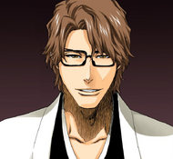 Aizen tells Gin and Tōsen everything will go according to plan.