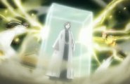 Suì-Fēng and Yoruichi use Shunkō against Reigai-Retsu Unohana.