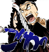bleach 3rd phantom bankai training guide 119Sentaro berates