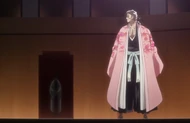 Shunsui calls forth Captain .