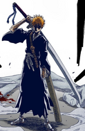 Ichigo becomes a Substitute Shinigami.