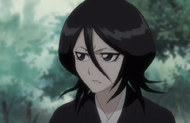 Rukia states they need to be careful.