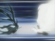 Final de la lucha entre Byakuya e Ichigo