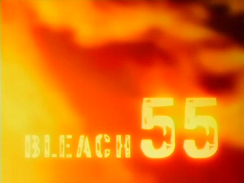 Bleach 55