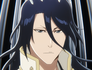 Byakuya Kuchiki, Bleach Wiki