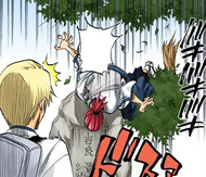 Renji falls out of a tree onto the gravestone of Izuru's parents.