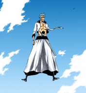 Grimmjow appears before Ichigo.