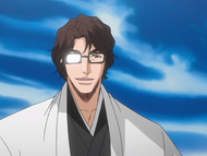 Aizen reveals that he manipulated the Ryoka's entry into the Seireitei.