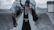 Kenpachi est considéré comme l’un des 5 , pour sa force au combat