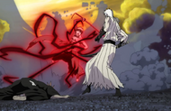 Ichigo attacks Kokutō.