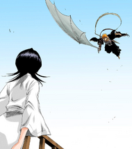 bleach 3rd phantom bankai training guide 116Ichigo and Rukia reunite