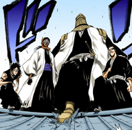 Iba, Komamura, Kaname Tōsen, and Shūhei Hisagi appear on a rooftop to confront the Ryoka and their allies.
