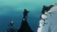 Hollow Ichigo appears behind Tensa Zangetsu.