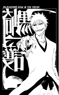 C220 cover page Hollow Ichigo