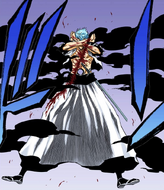 Grimmjow withstands Ichigo's Getsuga Tenshō with a large scar.