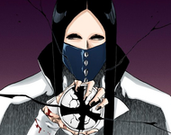 A Medallion, which allows the user to steal a currently released Bankai in the vicinity.