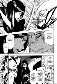 Bleach-13227-1-
