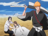 Ichigo protects Ran'Tao and Uryū.