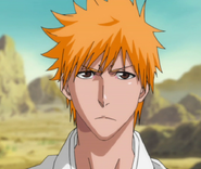 Ep336 Ichigo