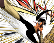 Yoruichi throws two Anken with a kick.