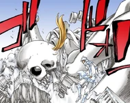 Hitsugaya watches as Gerard is reduced to a skeleton by Auswählen.