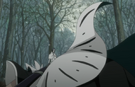 Hitsugaya collapses.