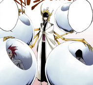 Byakuya is collected by Senjumaru Shutara for transport to the Royal Palace.