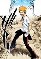 Ichigo equips the protective gear.