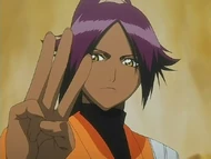 Yoruichi explaining bankai training to ichigo