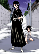 Rukia reveals that she has regained her Shinigami powers.