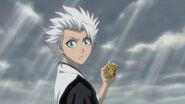 Hitsugaya con el Sello del Rey