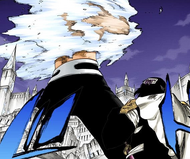 Momo carries the injured Shinji while Hitsugaya battles Gerard Valkyrie above them.