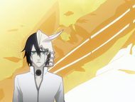 Goodbye, halcyon days., BLEACH Episodes 140 141, Arrancar arc