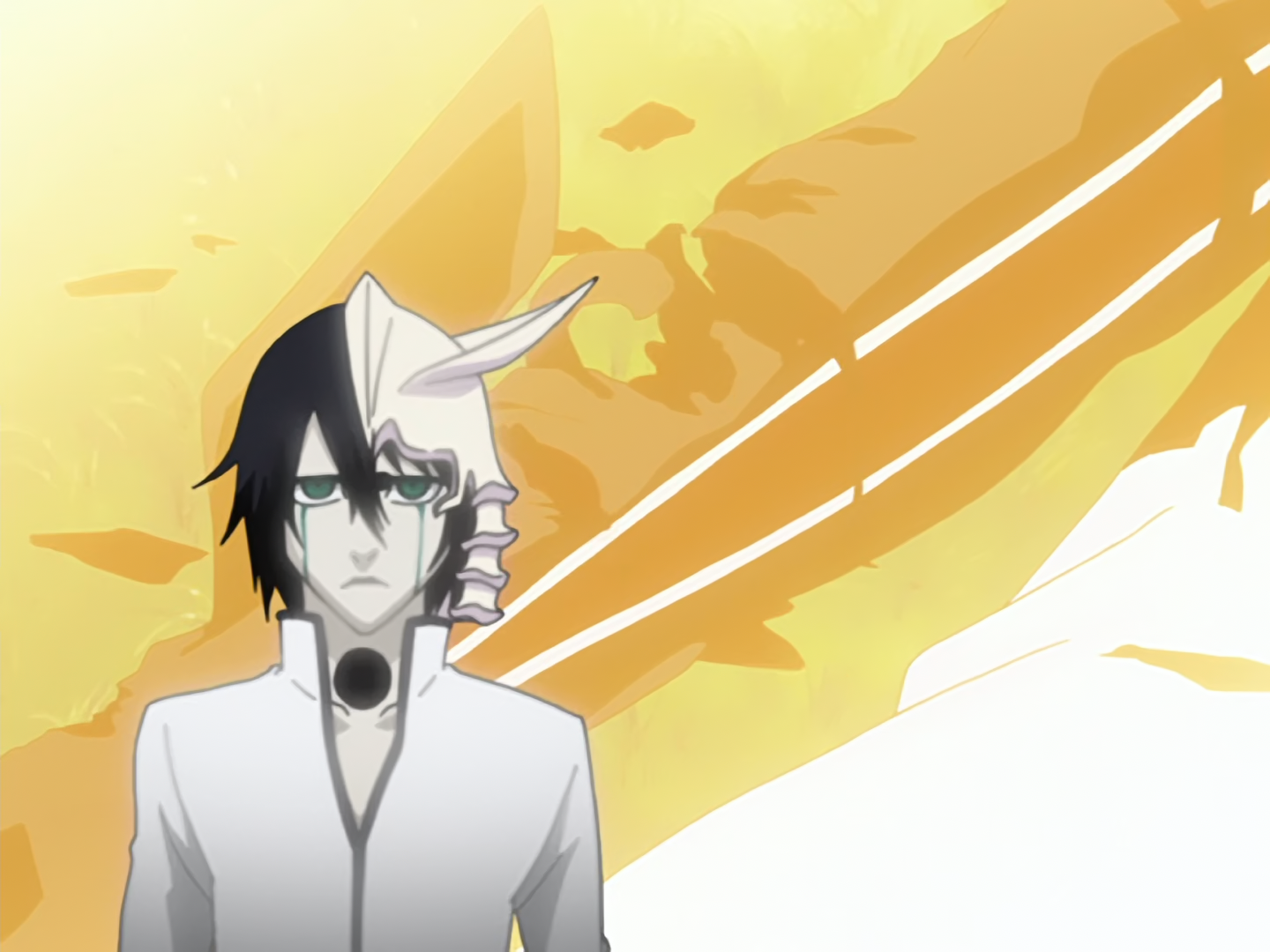 Ulquiorra Cifer Bleach Wiki Fandom