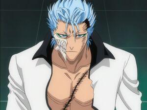 Grimmjow Jaegerjaquez | Bleach Wiki | Fandom