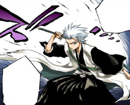 Hitsugaya prepares to kill Gin.